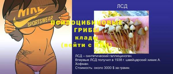ГАЛЛЮЦИНОГЕННЫЕ ГРИБЫ Волоколамск