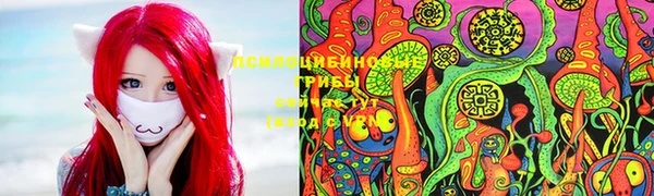 ECSTASY Володарск