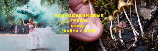 ECSTASY Володарск
