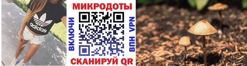 Псилоцибиновые грибы мухоморы  Рубцовск 